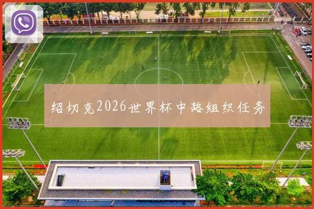 绍切克2026世界杯中路组织任务 - 开云官网