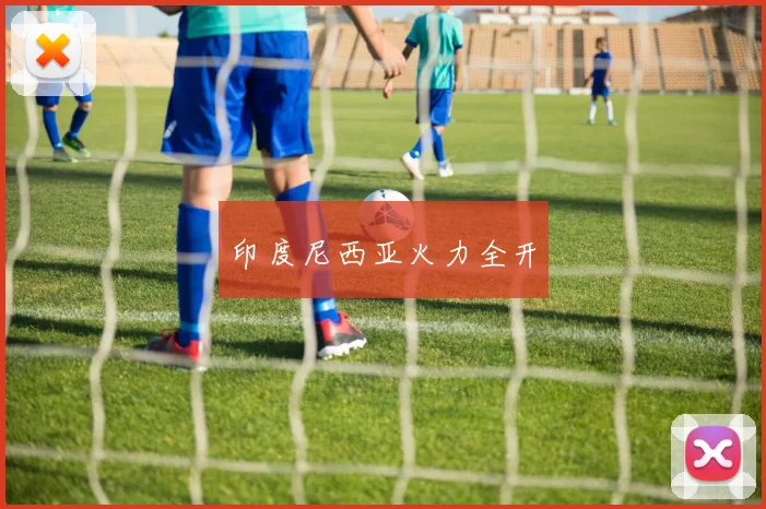 印度尼西亚火力全开 - 开云官网