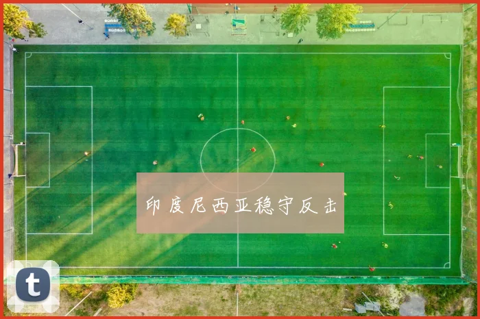 印度尼西亚稳守反击 - 开云官网
