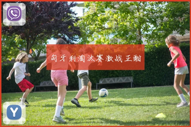 匈牙利淘汰赛激战正酣 - 开云官网