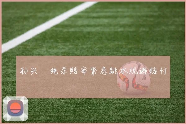孙兴慜绝杀赔率紧急跳水规避赔付 - 开云官网