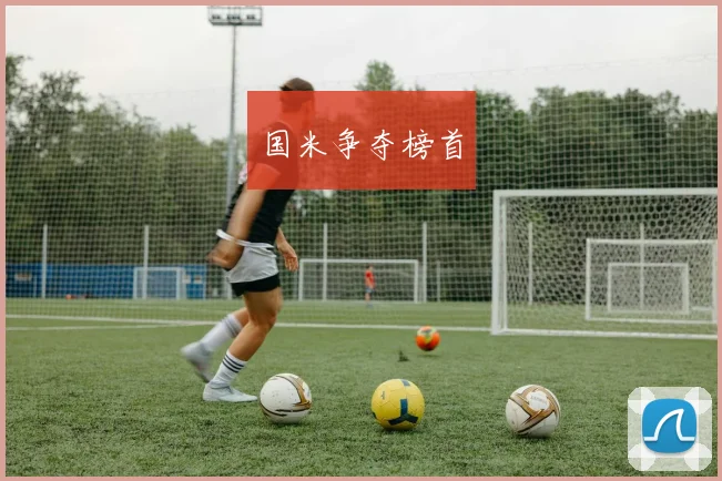国米争夺榜首 - 开云官网