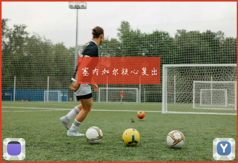 塞内加尔核心复出 - 开云官网