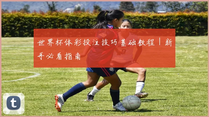 世界杯体彩投注技巧基础教程｜新手必看指南 - 开云官网
