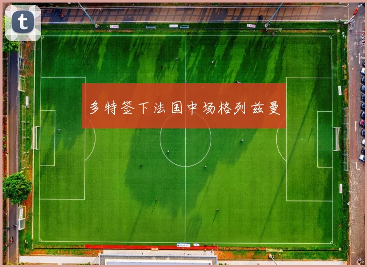 多特签下法国中场格列兹曼 - 开云官网