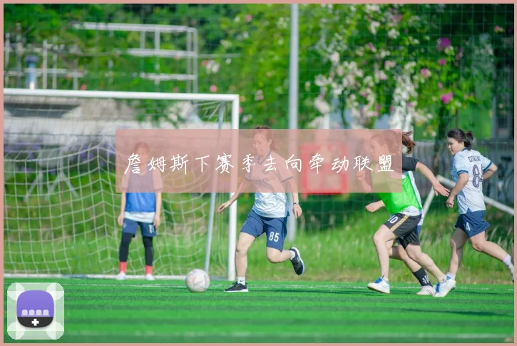 詹姆斯下赛季去向牵动联盟 - 开云官网