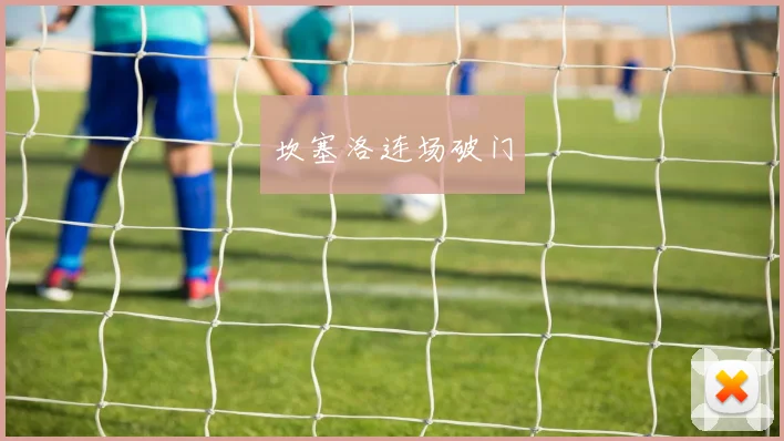 坎塞洛连场破门 - 开云官网