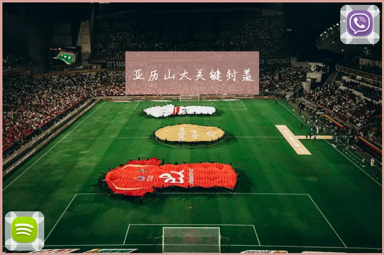 亚历山大关键封盖 - 开云官网