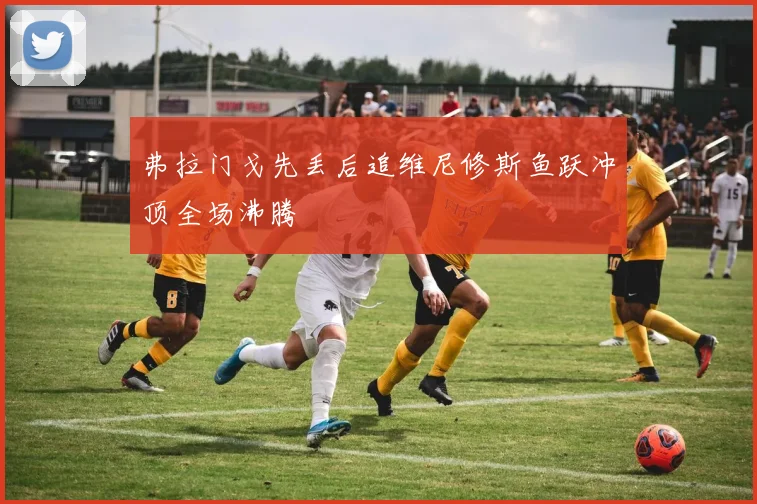 弗拉门戈先丢后追维尼修斯鱼跃冲顶全场沸腾 - 开云官网