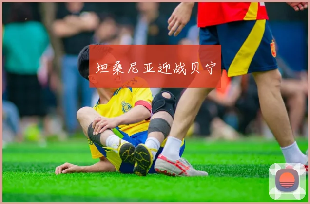 坦桑尼亚迎战贝宁 - 开云官网