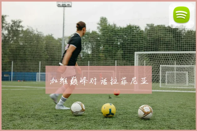 加维巅峰对话拉菲尼亚 - 开云官网