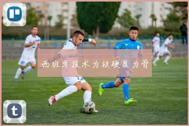 西班牙技术为核硬度为骨 - 开云官网