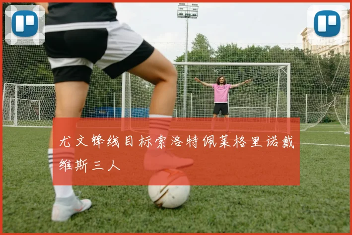 尤文锋线目标索洛特佩莱格里诺戴维斯三人 - 开云官网