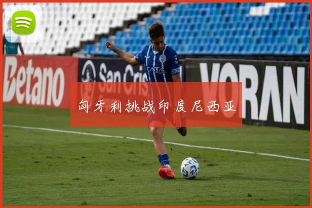 匈牙利挑战印度尼西亚 - 开云官网