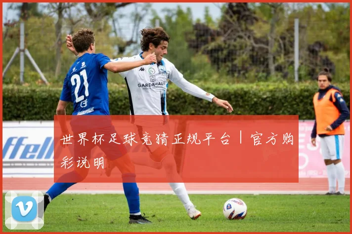世界杯足球竞猜正规平台｜官方购彩说明 - 开云官网