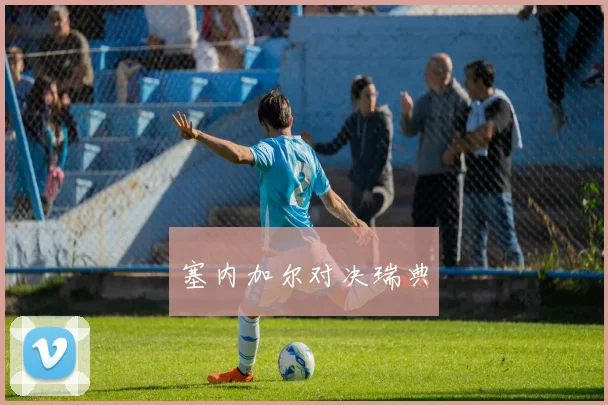 塞内加尔对决瑞典 - 开云官网