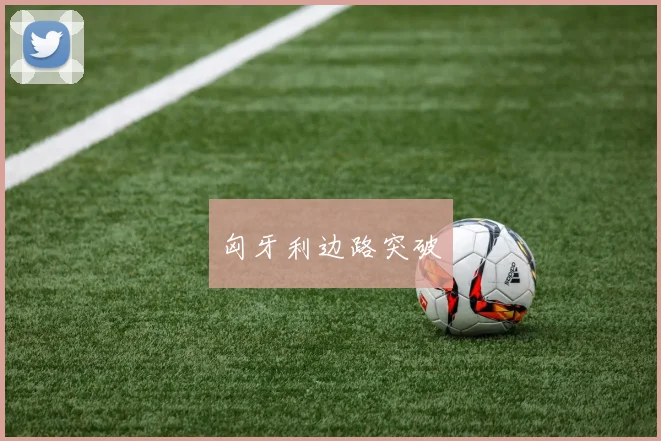 匈牙利边路突破 - 开云官网
