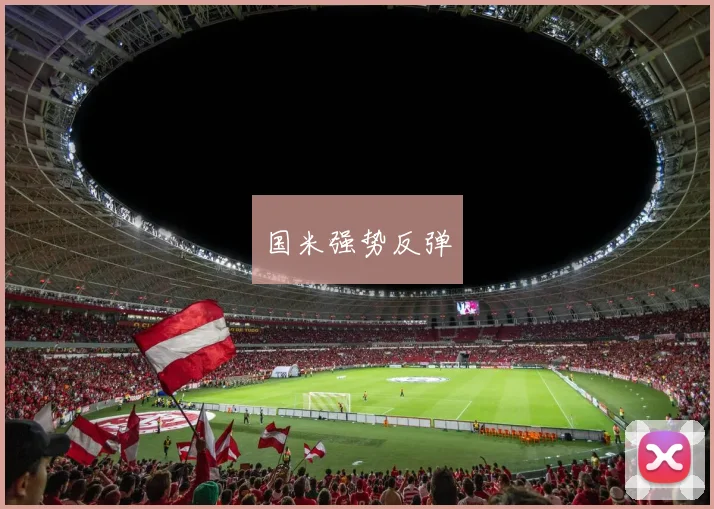 国米强势反弹 - 开云官网