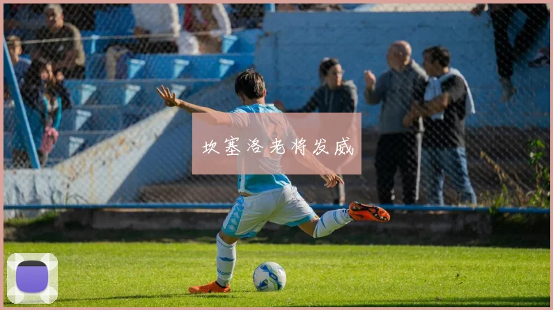 坎塞洛老将发威 - 开云官网