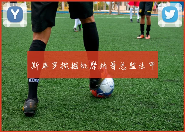 斯库罗挖掘机摩纳哥总监法甲 - 开云官网