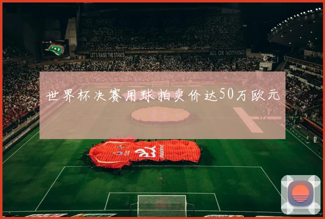 世界杯决赛用球拍卖价达50万欧元 - 开云官网