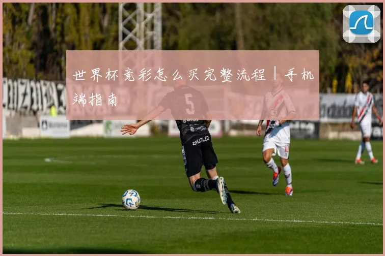 世界杯竞彩怎么买完整流程｜手机端指南 - 开云官网