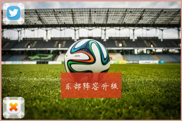 东部阵容升级 - 开云官网