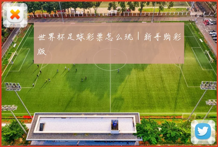 世界杯足球彩票怎么玩｜新手购彩版 - 开云官网