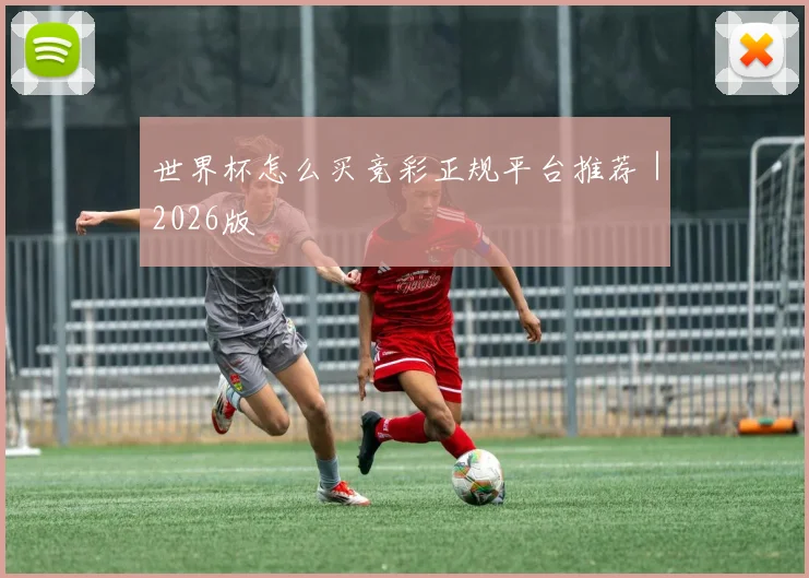世界杯怎么买竞彩正规平台推荐｜2026版 - 开云官网