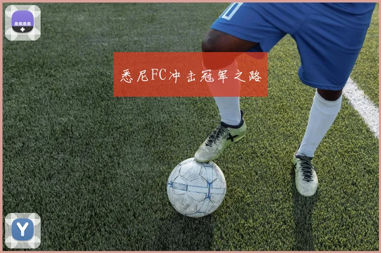 悉尼FC冲击冠军之路 - 开云官网