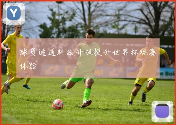 球员通道科技升级提升世界杯观赛体验 - 开云官网