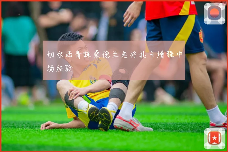 切尔西青睐桑德兰老将扎卡增强中场经验 - 开云官网