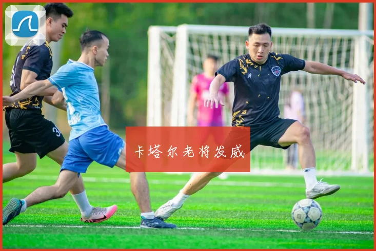 卡塔尔老将发威 - 开云官网