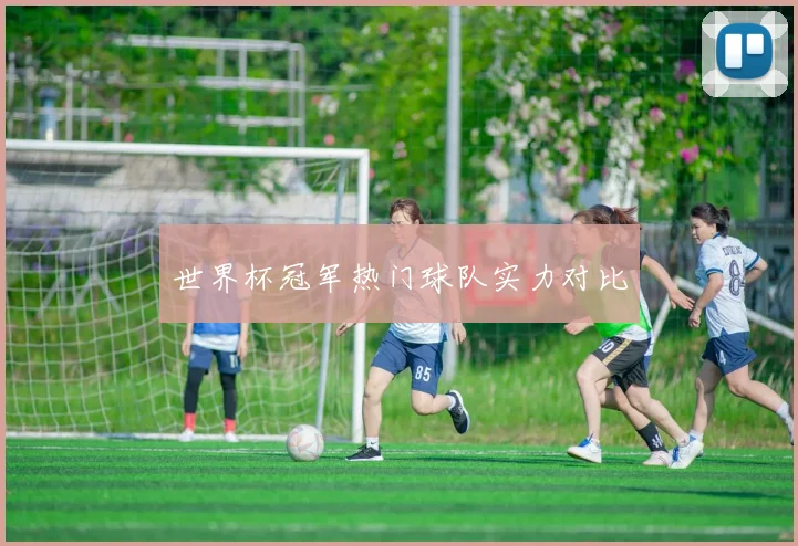世界杯冠军热门球队实力对比 - 开云官网