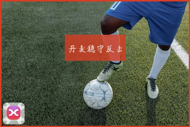 丹麦稳守反击 - 开云官网