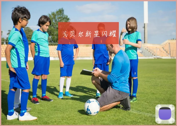 戈贝尔新星闪耀 - 开云官网