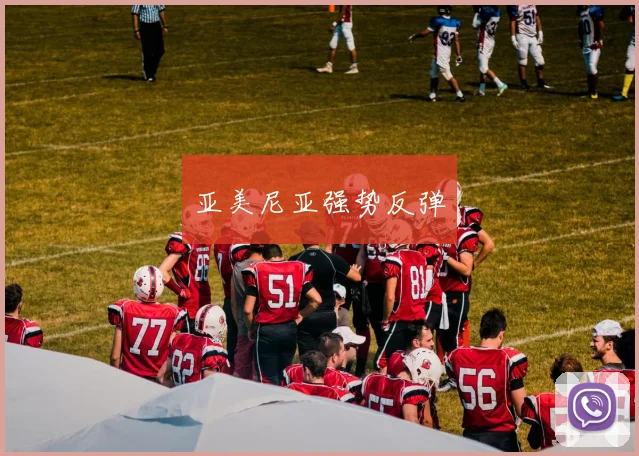 亚美尼亚强势反弹 - 开云官网