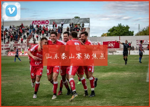 山东泰山赛场焦点 - 开云官网