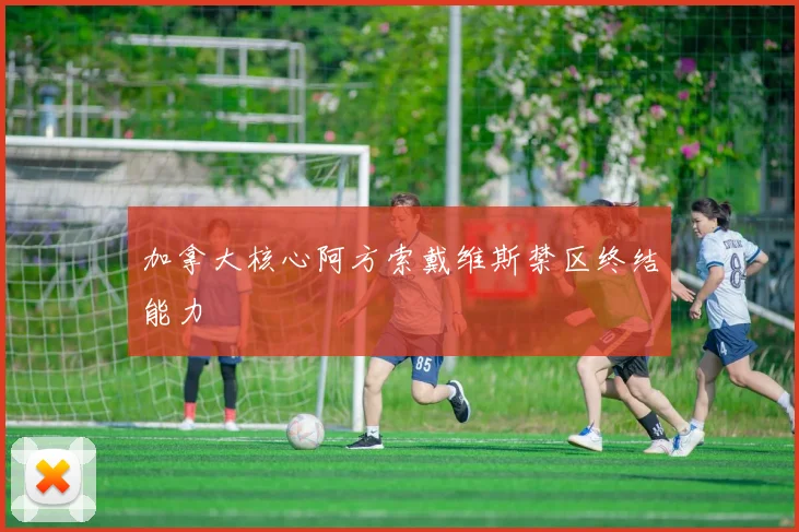 加拿大核心阿方索戴维斯禁区终结能力 - 开云官网