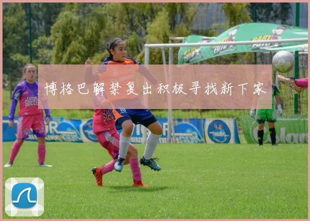 博格巴解禁复出积极寻找新下家 - 开云官网