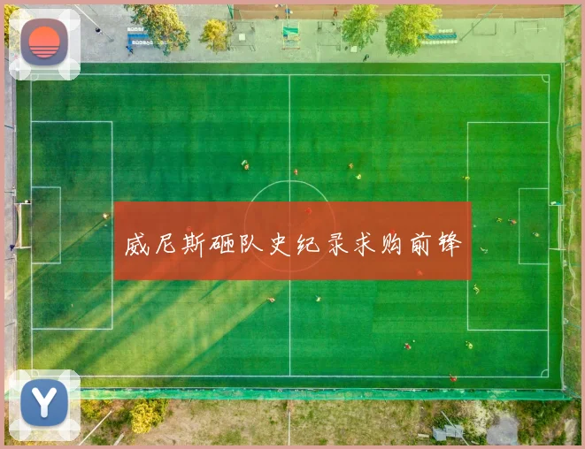 威尼斯砸队史纪录求购前锋 - 开云官网