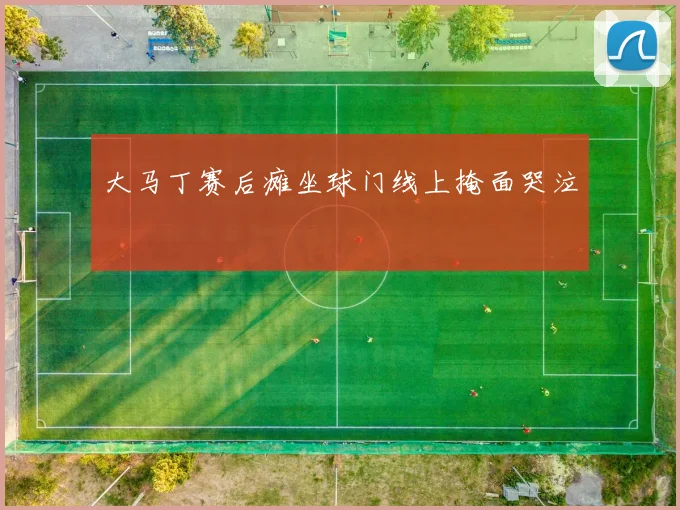 大马丁赛后瘫坐球门线上掩面哭泣 - 开云官网