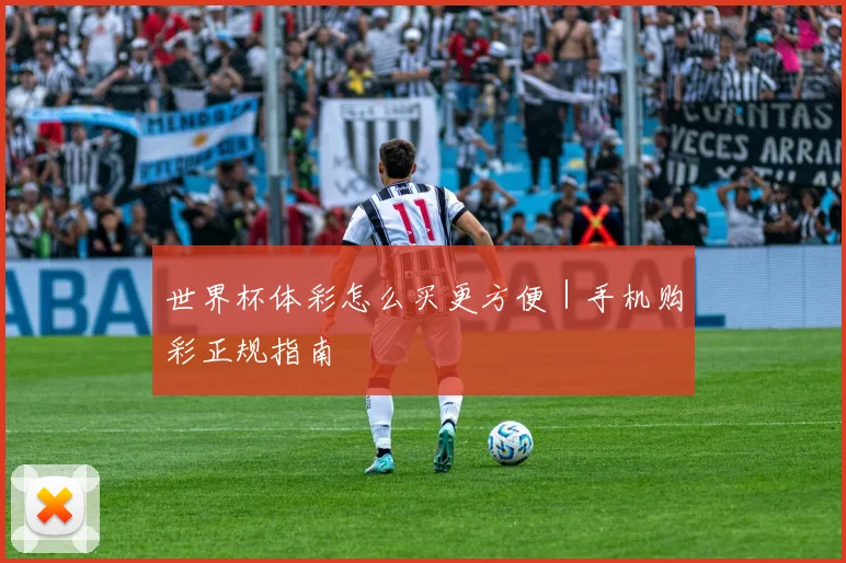 世界杯体彩怎么买更方便｜手机购彩正规指南 - 开云官网