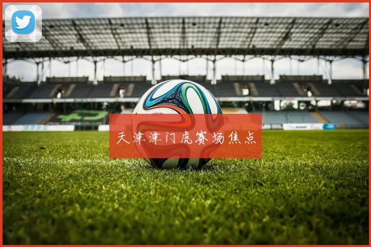 天津津门虎赛场焦点 - 开云官网