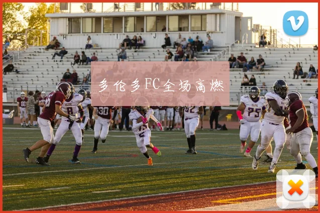 多伦多FC全场高燃 - 开云官网