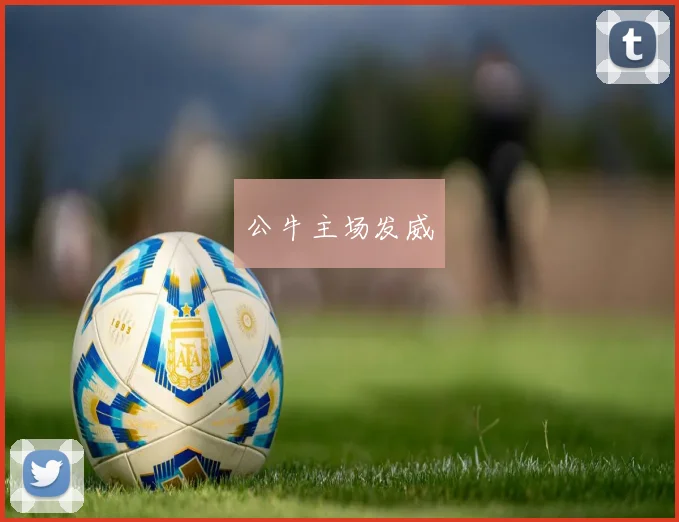 公牛主场发威 - 开云官网