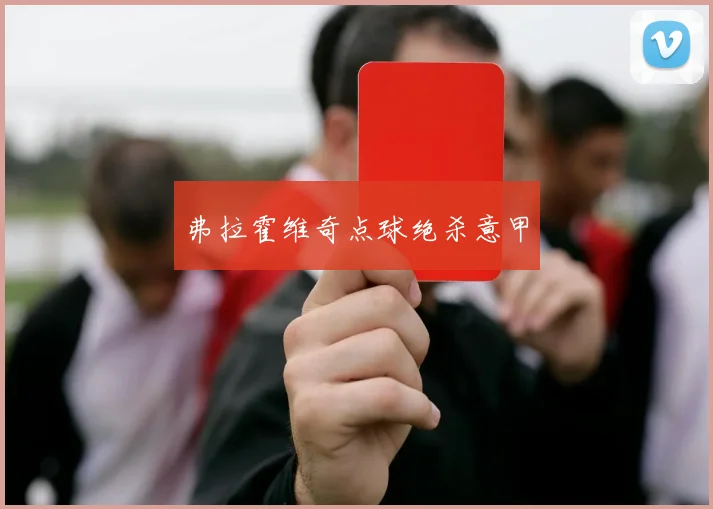 弗拉霍维奇点球绝杀意甲 - 开云官网