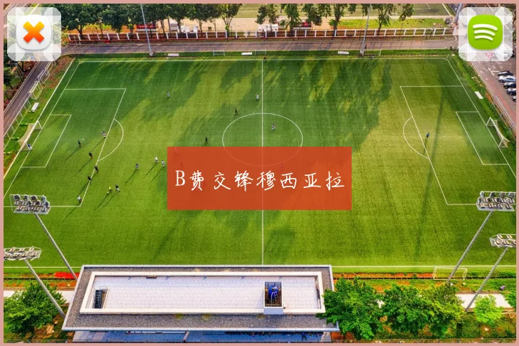 B费交锋穆西亚拉 - 开云官网