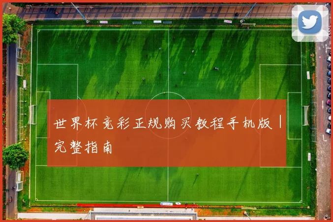 世界杯竞彩正规购买教程手机版｜完整指南 - 开云官网