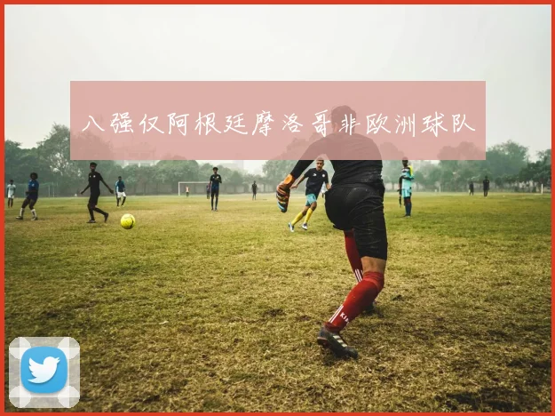 八强仅阿根廷摩洛哥非欧洲球队 - 开云官网